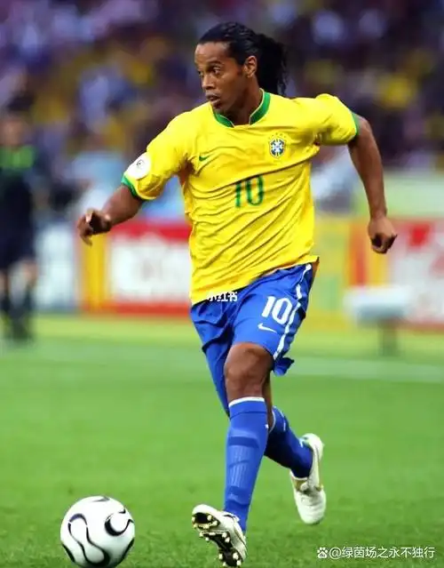 职业生涯管 职业生涯管